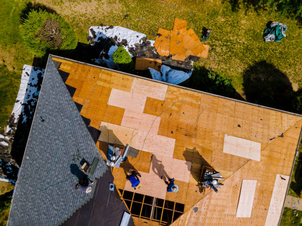 Best Storm Damage Roof Repair  in Hallandale Beach, FL